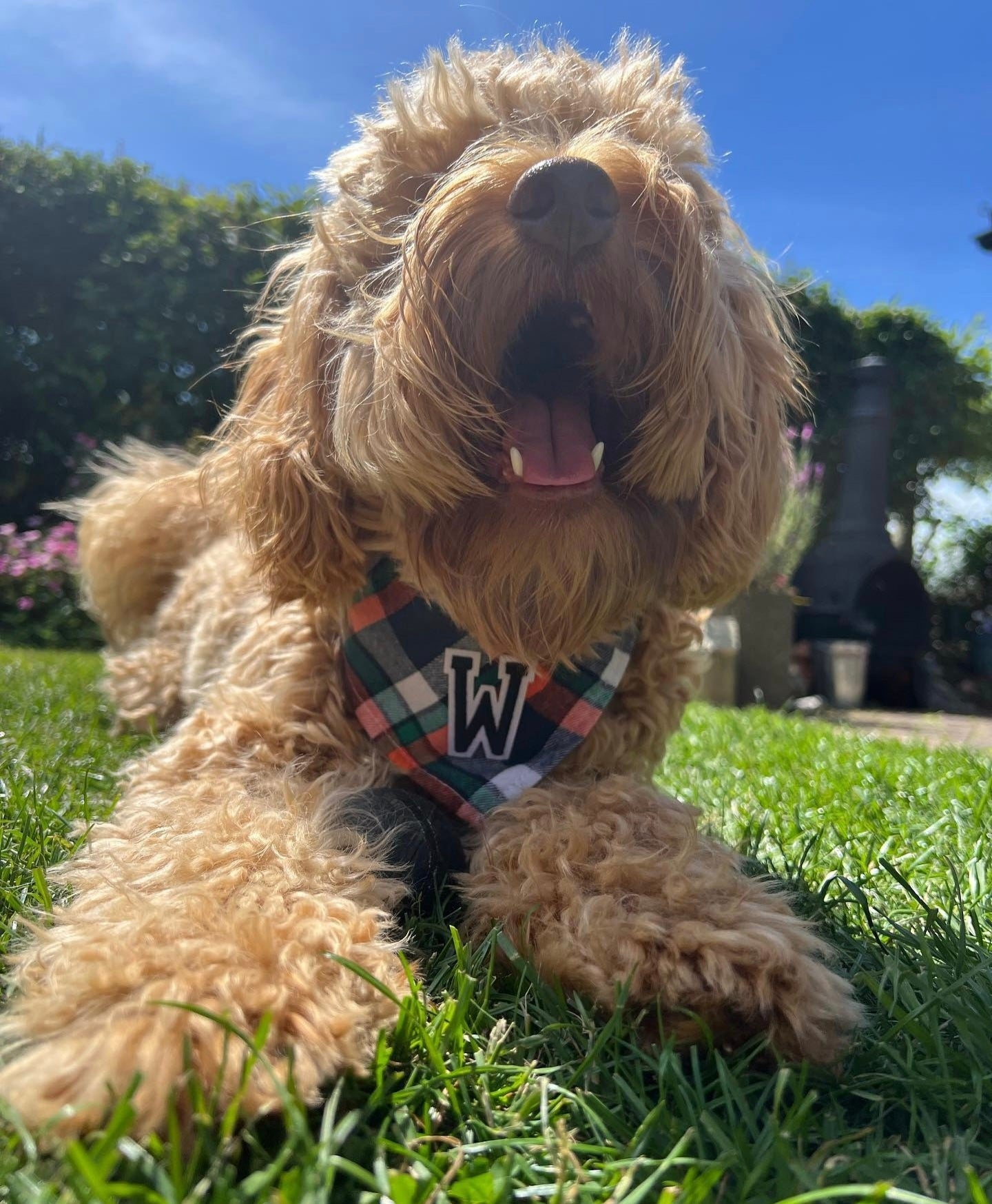 Orange mix bandana