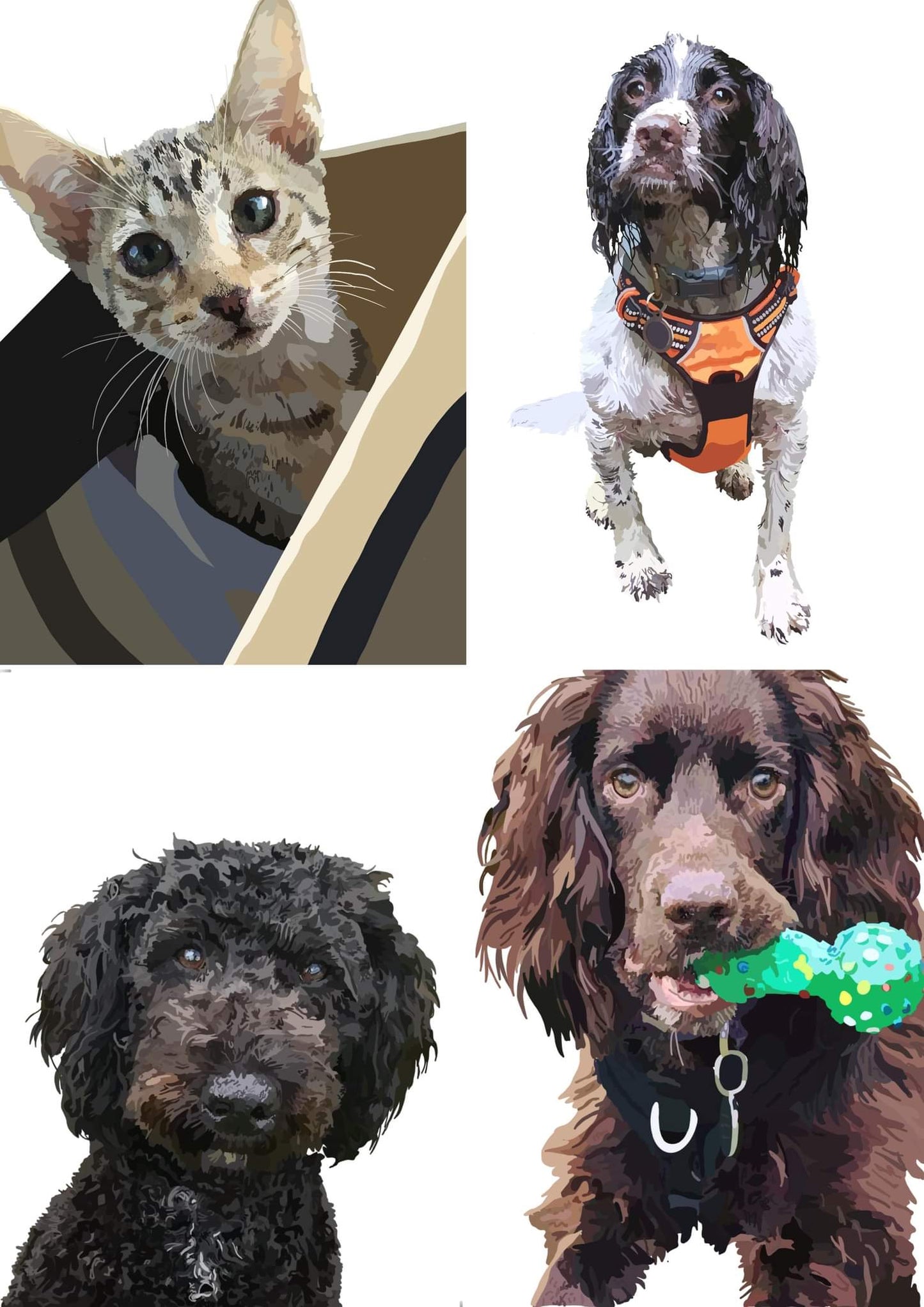 Detailed Personalised pet portrait